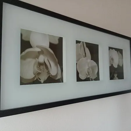 Marinela Apartment *